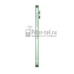 Смартфон Google Pixel 9 12/256Gb Global Wintergreen